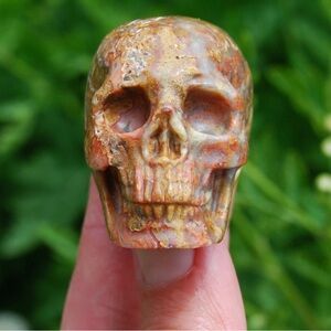 Carved Crazy Lace Agate Skull